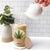 Funny Retired Weed Lovers Glass Can Vintage I Have a Retirement Plan Gardening 420 Gift TS10 Print Your Wear