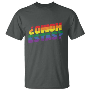 Funny Spanish Mexican Homo Estas T Shirt Gay Pride Ally LGBTQ Month TS11 Dark Heather Print Your Wear