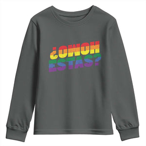 Funny Spanish Mexican Homo Estas Youth Sweatshirt Gay Pride Ally LGBTQ Month TS11 Dark Heather Print Your Wear