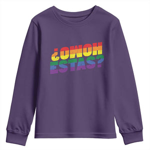 Funny Spanish Mexican Homo Estas Youth Sweatshirt Gay Pride Ally LGBTQ Month TS11 Purple Print Your Wear