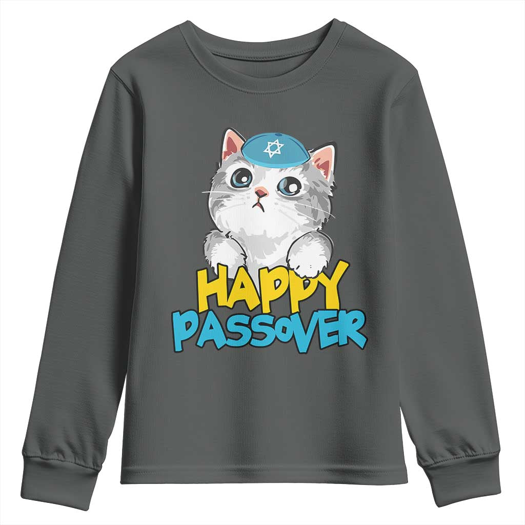 Happy Passover Cute Cat Youth Sweatshirt Seder Jewish Pesach TS02 Dark Heather Print Your Wear