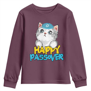 Happy Passover Cute Cat Youth Sweatshirt Seder Jewish Pesach TS02 Maroon Print Your Wear