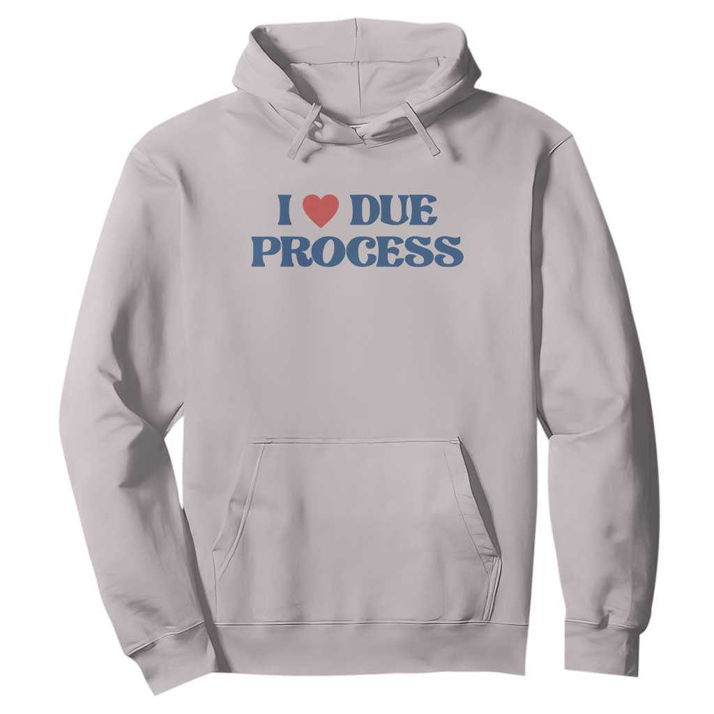 I Love Due Process Hoodie Pro Immigration Immigrants Feed America TS10 Ice Gray Print Your Wear