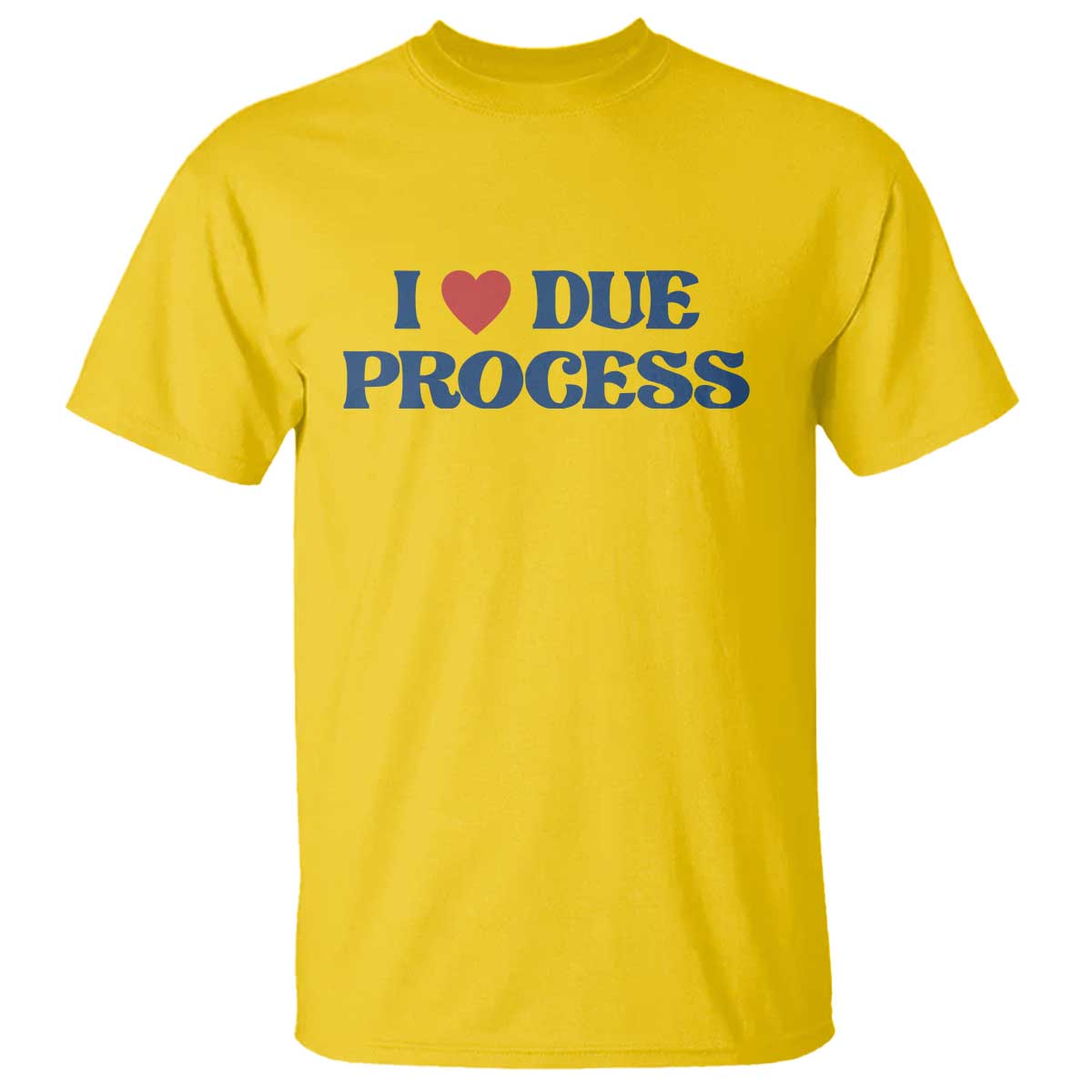 I Love Due Process T Shirt Pro Immigration Immigrants Feed America TS10 Daisy Print Your Wear