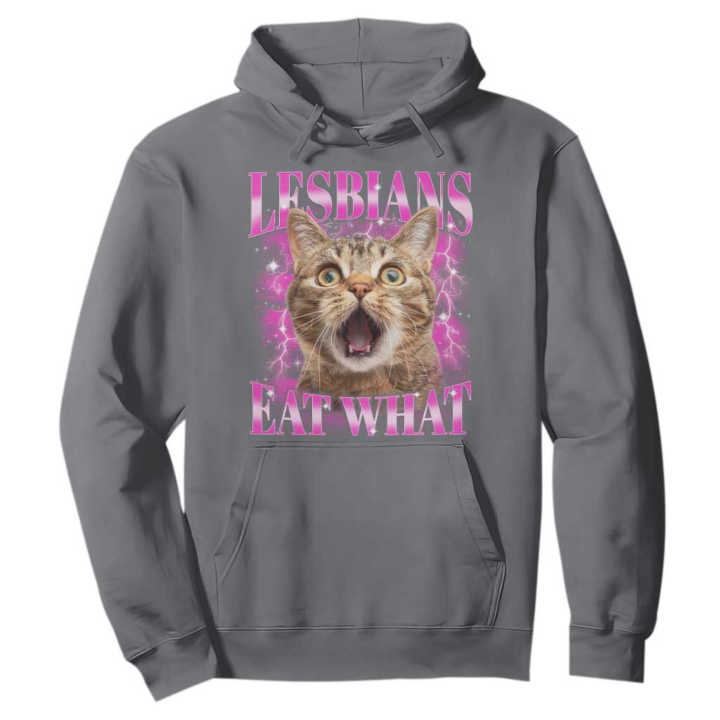 Lesbians Eat What Hoodie Funny Cat Gay Pride LGBTQ Pun TS10 Charcoal Print Your Wear