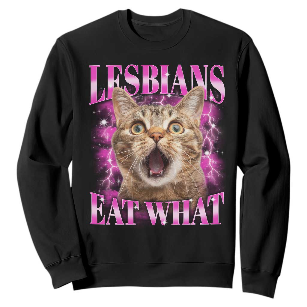 Lesbians Eat What Sweatshirt Funny Cat Gay Pride LGBTQ Pun TS10 Black Print Your Wear