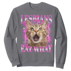 Lesbians Eat What Sweatshirt Funny Cat Gay Pride LGBTQ Pun TS10 Charcoal Print Your Wear