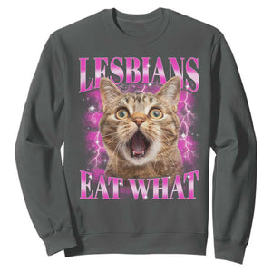 Lesbians Eat What Sweatshirt Funny Cat Gay Pride LGBTQ Pun TS10 Dark Heather Print Your Wear