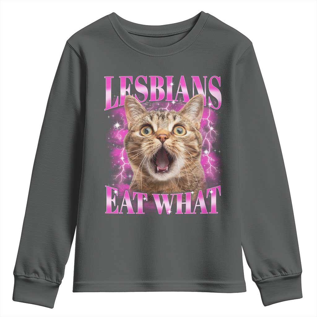Lesbians Eat What Youth Sweatshirt Funny Cat Gay Pride LGBTQ Pun TS10 Dark Heather Print Your Wear