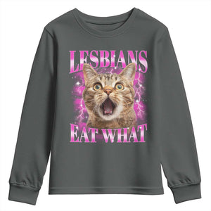 Lesbians Eat What Youth Sweatshirt Funny Cat Gay Pride LGBTQ Pun TS10 Dark Heather Print Your Wear
