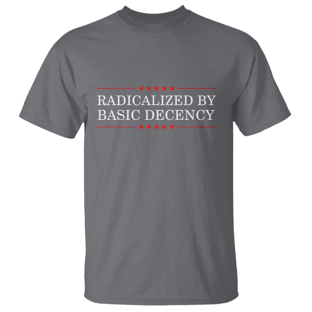 Radicalized By Basic Decency T Shirt Feminist Activist Protest TS10 Charcoal Print Your Wear
