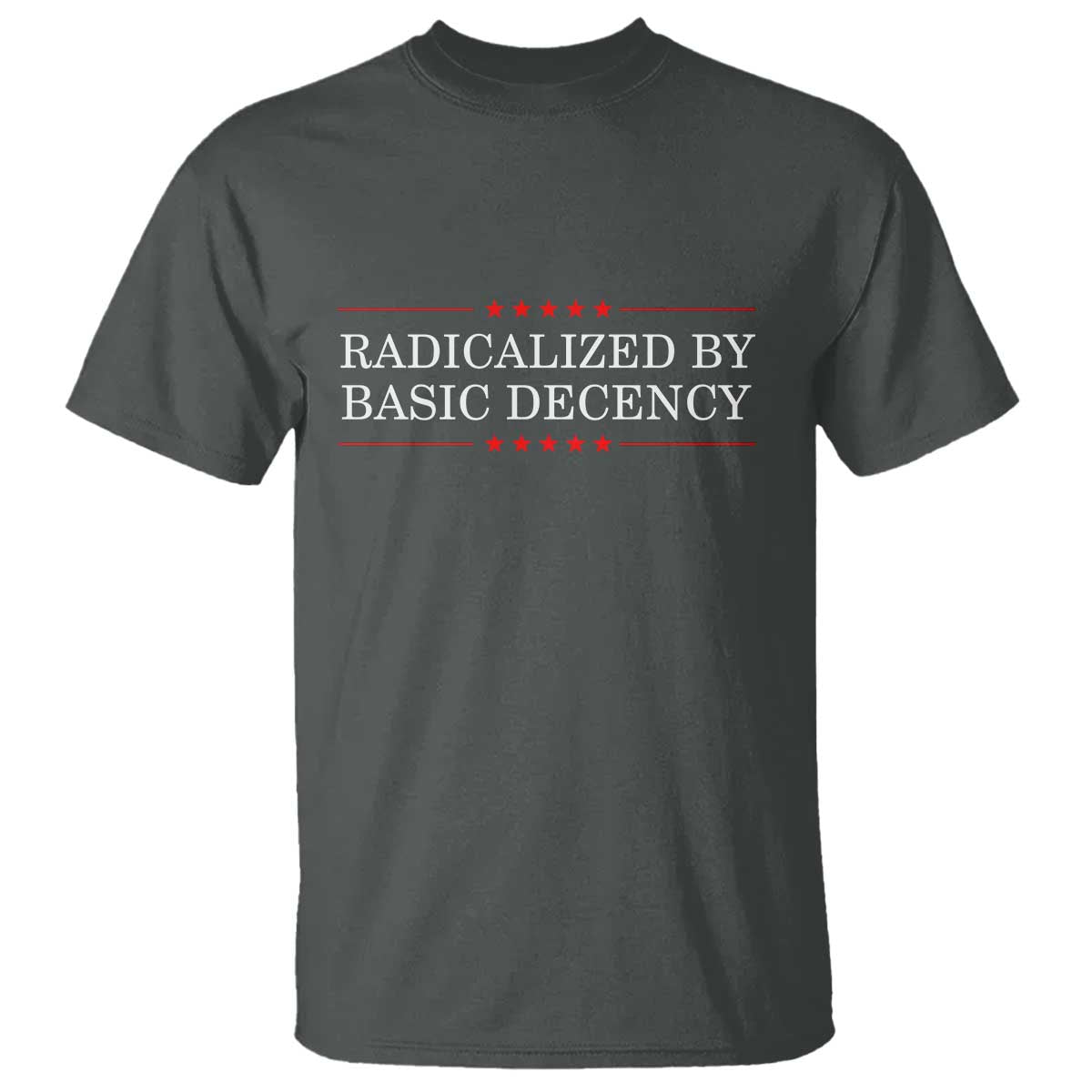 Radicalized By Basic Decency T Shirt Feminist Activist Protest TS10 Dark Heather Print Your Wear