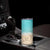 To My Best Aunt Skinny Tumbler Beach Mother's Day Gift For Auntie TB11 Print Your Wear