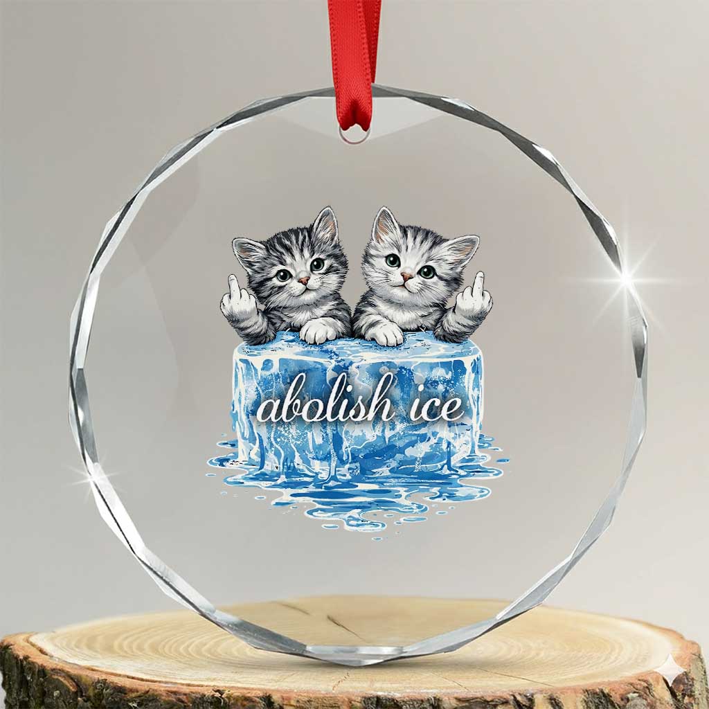 Abolish Ice Crystal Glass Ornament Cute Cat Melting Ice Pro Immigrant TS11 Transparent Glass 3'' Circle Print Your Wear