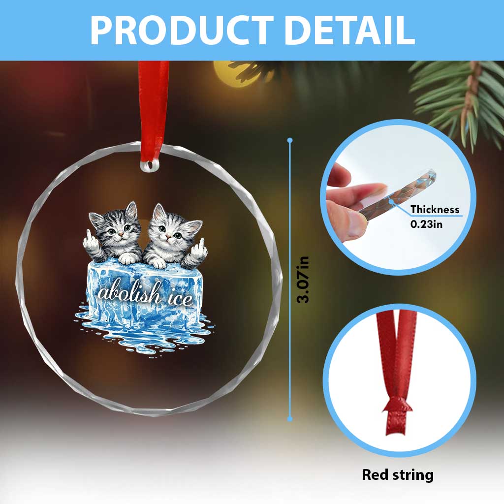 Abolish Ice Crystal Glass Ornament Cute Cat Melting Ice Pro Immigrant TS11 Print Your Wear