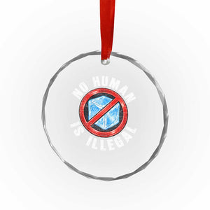 Abolish Ice No Human is Illegal Crystal Glass Ornament Retro Protest Subtle FDT TS10 Print Your Wear