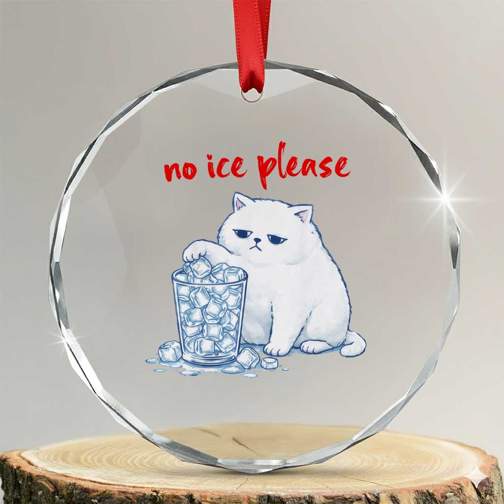 Abolish Ice Protest Crystal Glass Ornament Subtle FDT Cat Meme No Ice Please TS10 Transparent Glass 3'' Circle Print Your Wear