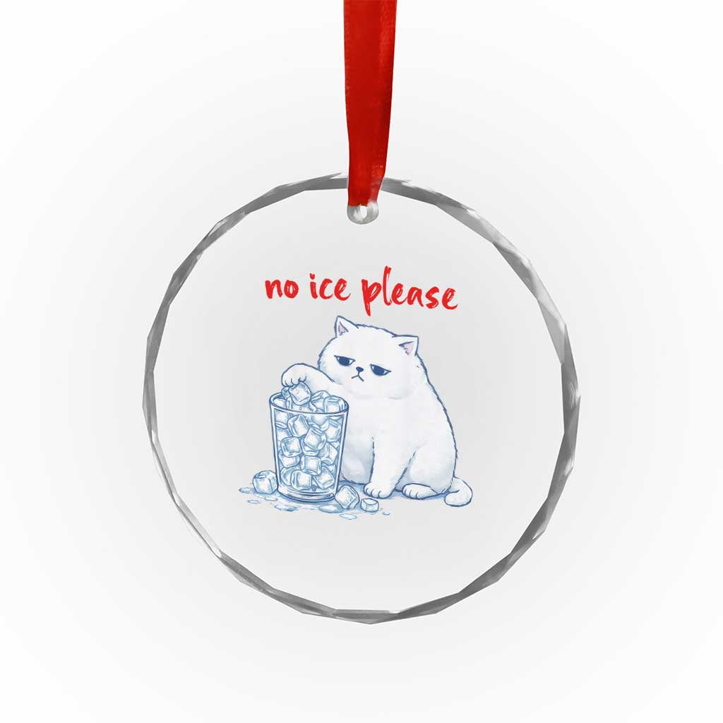Abolish Ice Protest Crystal Glass Ornament Subtle FDT Cat Meme No Ice Please TS10 Print Your Wear
