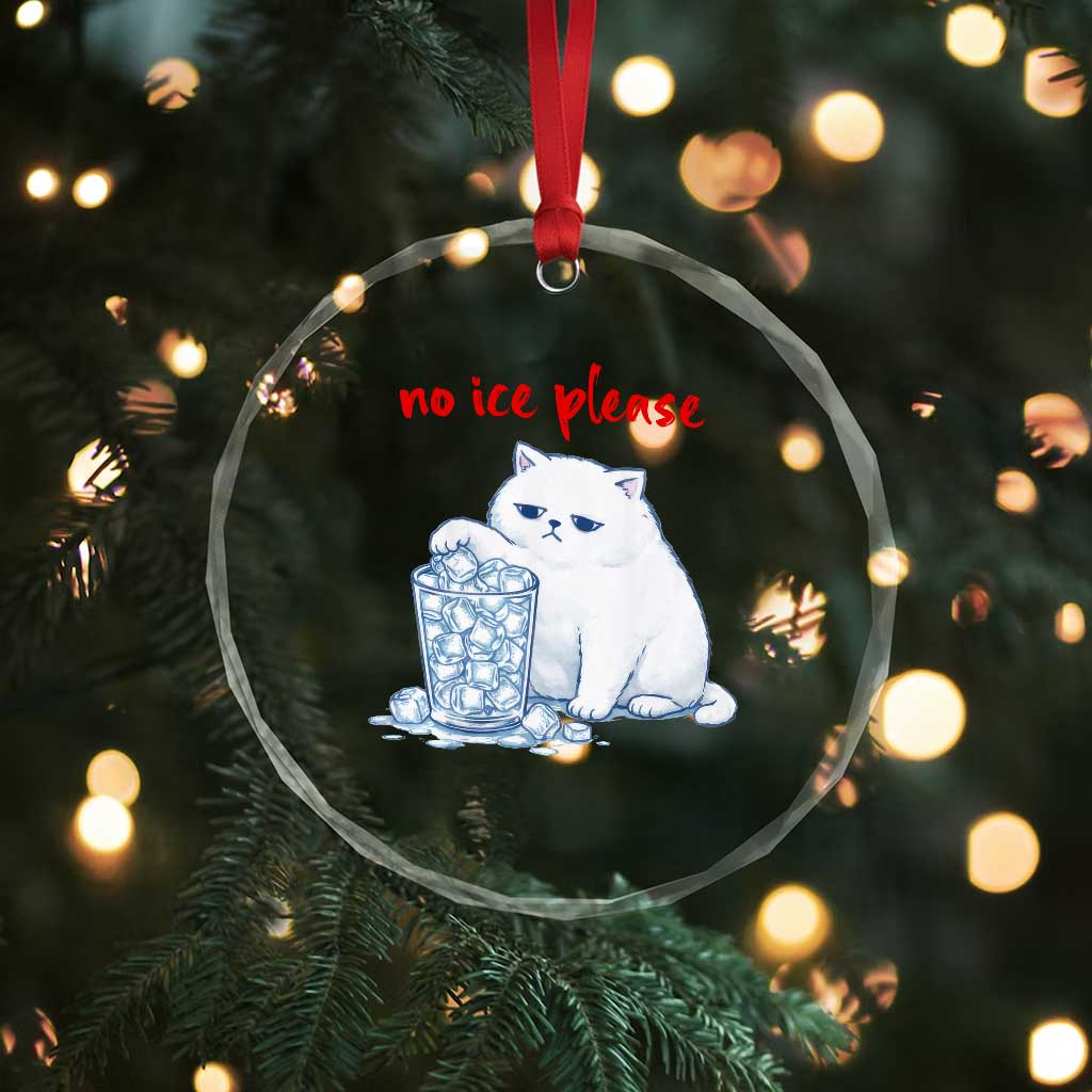 Abolish Ice Protest Crystal Glass Ornament Subtle FDT Cat Meme No Ice Please TS10 Print Your Wear