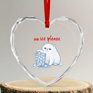 Abolish Ice Protest Heart Crystal Glass Ornament Subtle FDT Cat Meme No Ice Please TS10 Transparent Glass 3'' Heart Print Your Wear