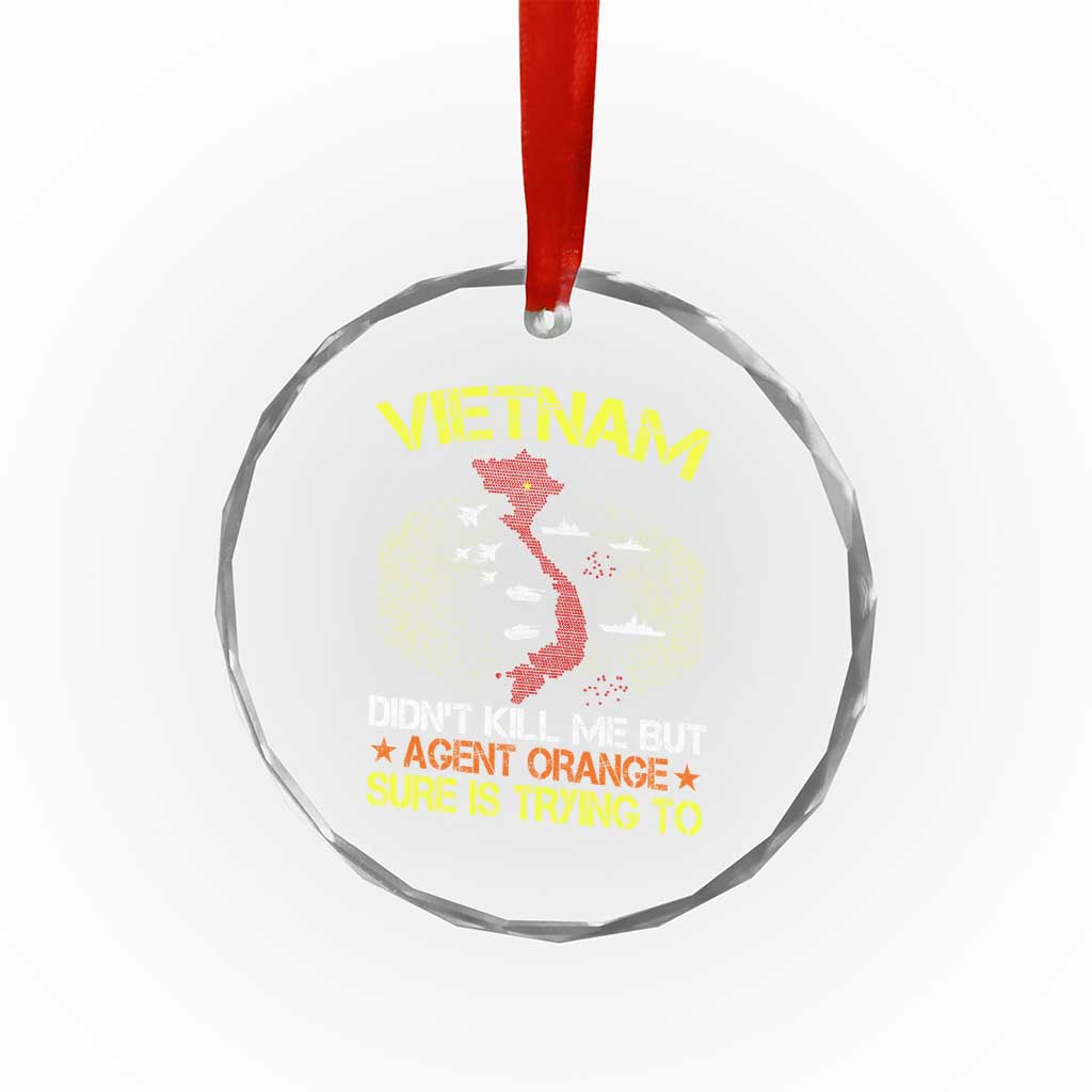 Agent Orange Dioxin Crystal Glass Ornament Vietnam Veteran Vet Gifts TS10 Print Your Wear