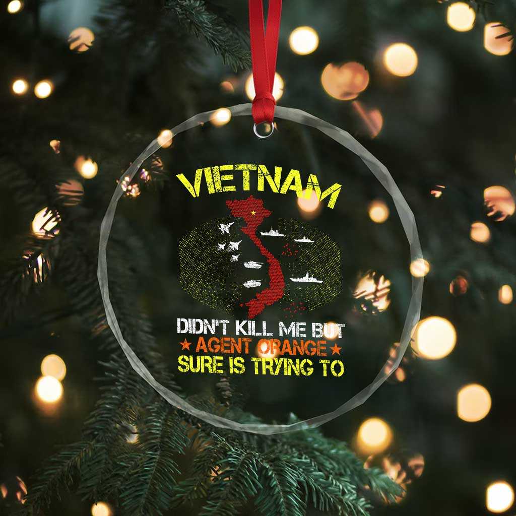 Agent Orange Dioxin Crystal Glass Ornament Vietnam Veteran Vet Gifts TS10 Print Your Wear