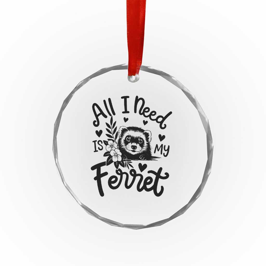 All I Need Is My Ferret Crystal Glass Ornament Cute Exotic Pet Owner Gift TS12 Print Your Wear