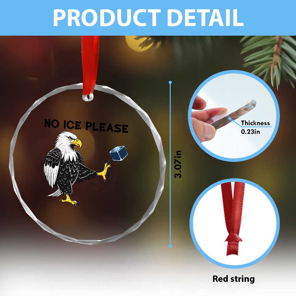 American Eagle No Ice Please Crystal Glass Ornament Minneapolis Support Gift TS12 Print Your Wear
