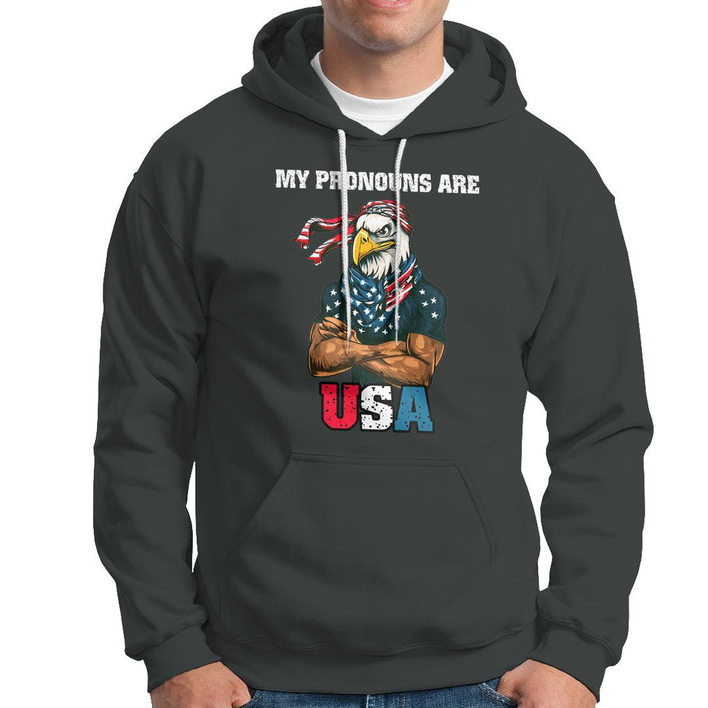 American Patriotic Hoodie My Pronouns Are USA TS02 Printyourwear