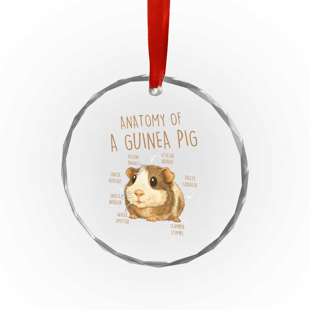 Anatomy Of A Guinea Pig Crystal Glass Ornament Funny Cavy Lover Animal Anatomy Gift TS12 Print Your Wear