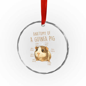 Anatomy Of A Guinea Pig Crystal Glass Ornament Funny Cavy Lover Animal Anatomy Gift TS12 Print Your Wear