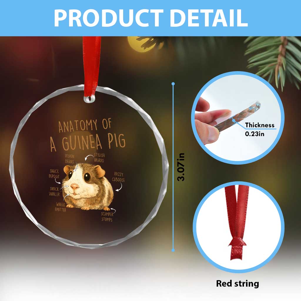 Anatomy Of A Guinea Pig Crystal Glass Ornament Funny Cavy Lover Animal Anatomy Gift TS12 Print Your Wear