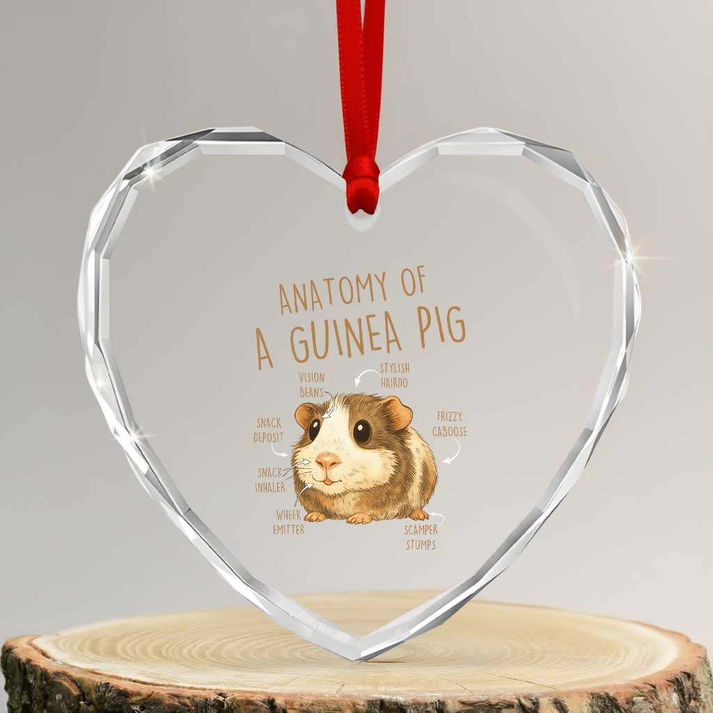 Anatomy Of A Guinea Pig Heart Crystal Glass Ornament Funny Cavy Lover Animal Anatomy Gift TS12 Transparent Glass 3'' Heart Print Your Wear