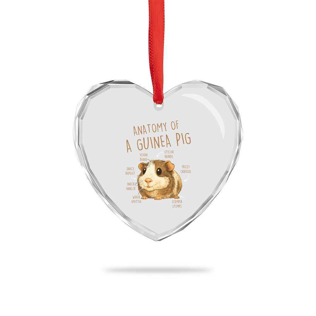 Anatomy Of A Guinea Pig Heart Crystal Glass Ornament Funny Cavy Lover Animal Anatomy Gift TS12 Print Your Wear