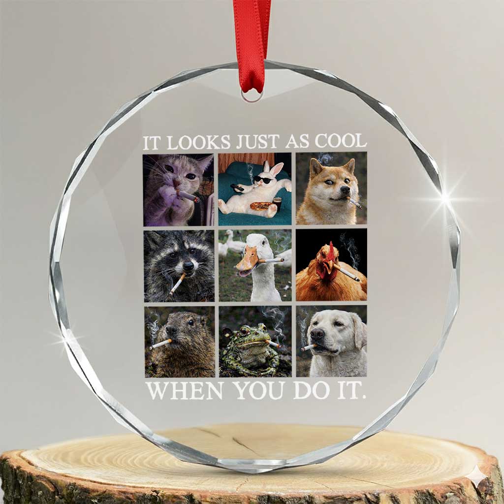 Animals Smoking Cigarettes Meme Crystal Glass Ornament It Looks Just as Cool When You Do It TS10 Transparent Glass 3'' Circle Print Your Wear