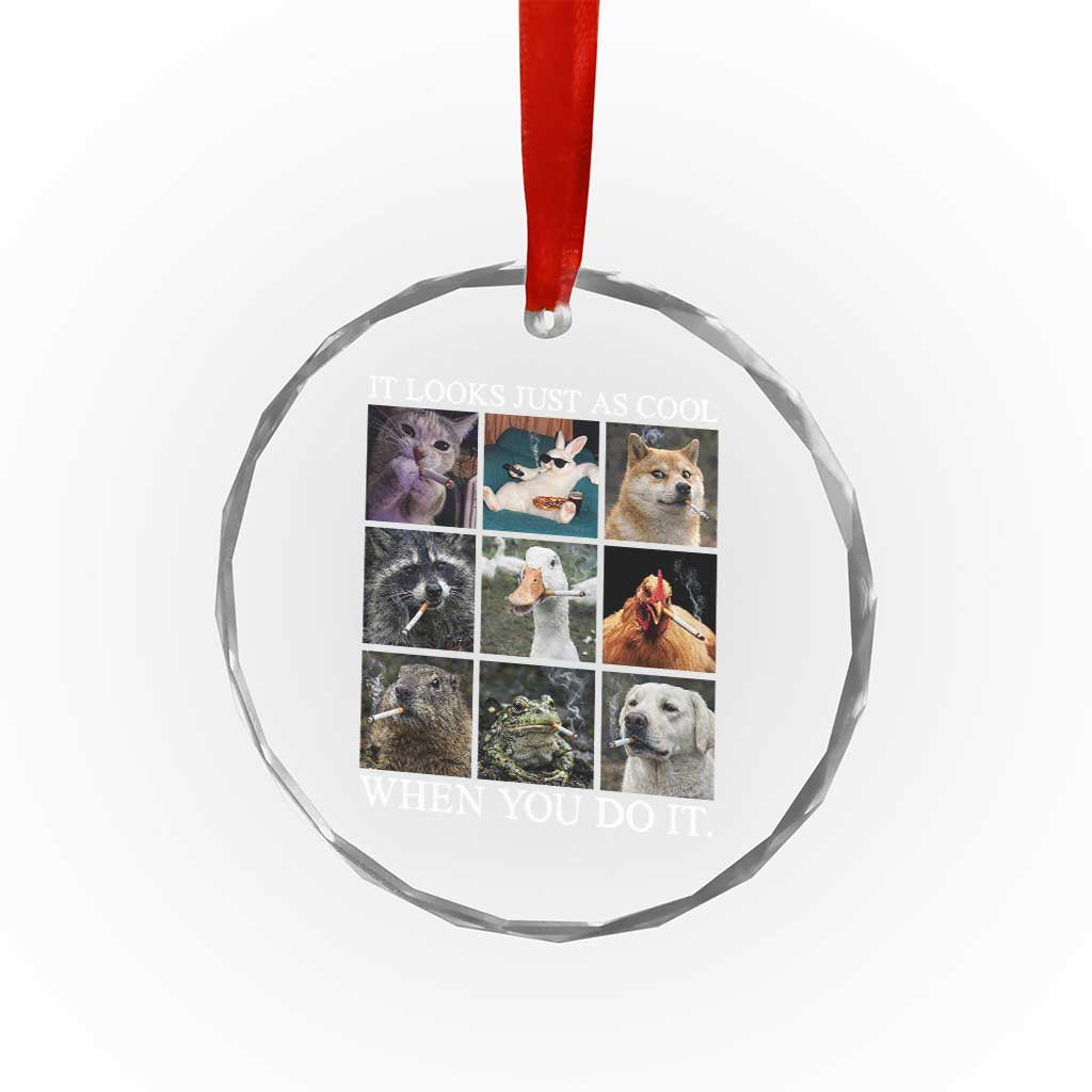 Animals Smoking Cigarettes Meme Crystal Glass Ornament It Looks Just as Cool When You Do It TS10 Print Your Wear