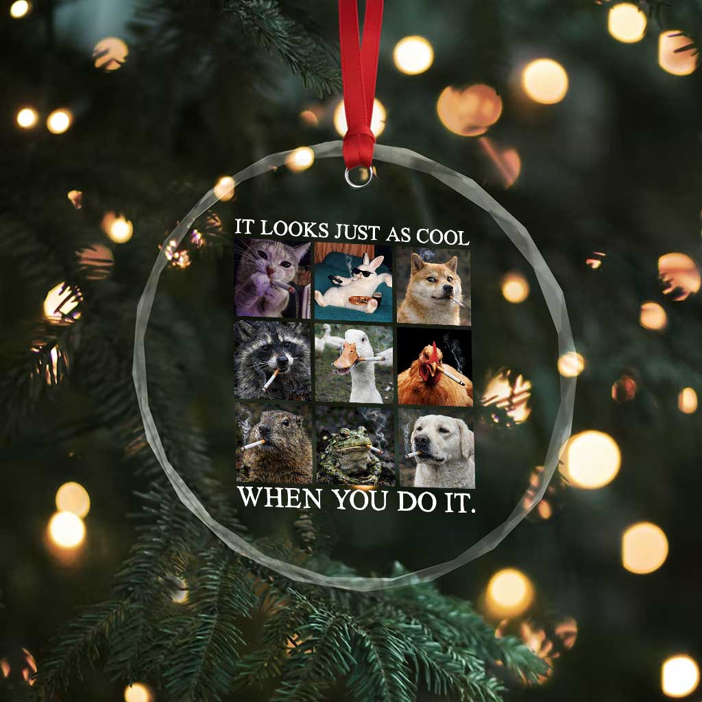 Animals Smoking Cigarettes Meme Crystal Glass Ornament It Looks Just as Cool When You Do It TS10 Print Your Wear