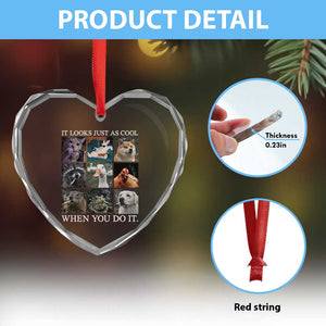Animals Smoking Cigarettes Meme Heart Crystal Glass Ornament It Looks Just as Cool When You Do It TS10 Print Your Wear