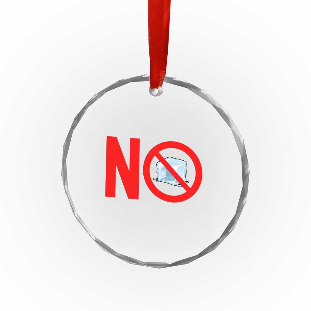 Anti ICE Crystal Glass Ornament No ICE Protest Symbol Anti Immigration Enforcement TS14 Print Your Wear