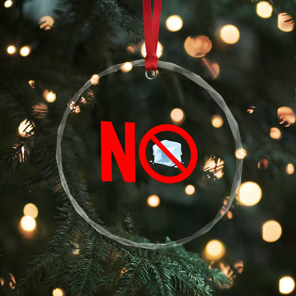 Anti ICE Crystal Glass Ornament No ICE Protest Symbol Anti Immigration Enforcement TS14 Print Your Wear