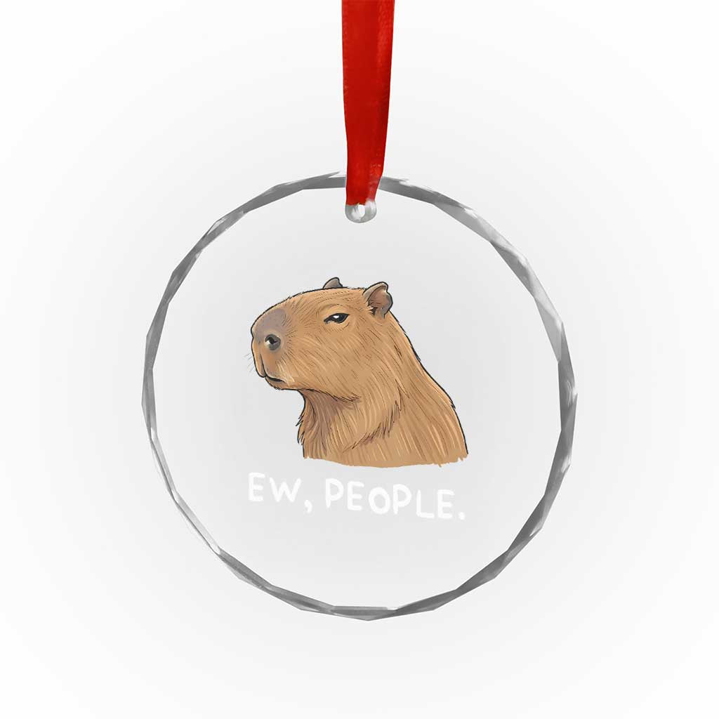 Anti Social Capybara Meme Crystal Glass Ornament Ew People Sarcastic Funny Introvert Gift TS02 Print Your Wear