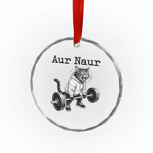 Aur Naur Raccoon Meme Crystal Glass Ornament Funny Sarcastic Oh No Australian Accent TS14 Print Your Wear