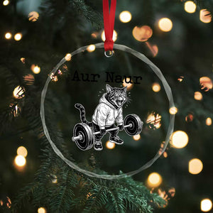 Aur Naur Raccoon Meme Crystal Glass Ornament Funny Sarcastic Oh No Australian Accent TS14 Print Your Wear