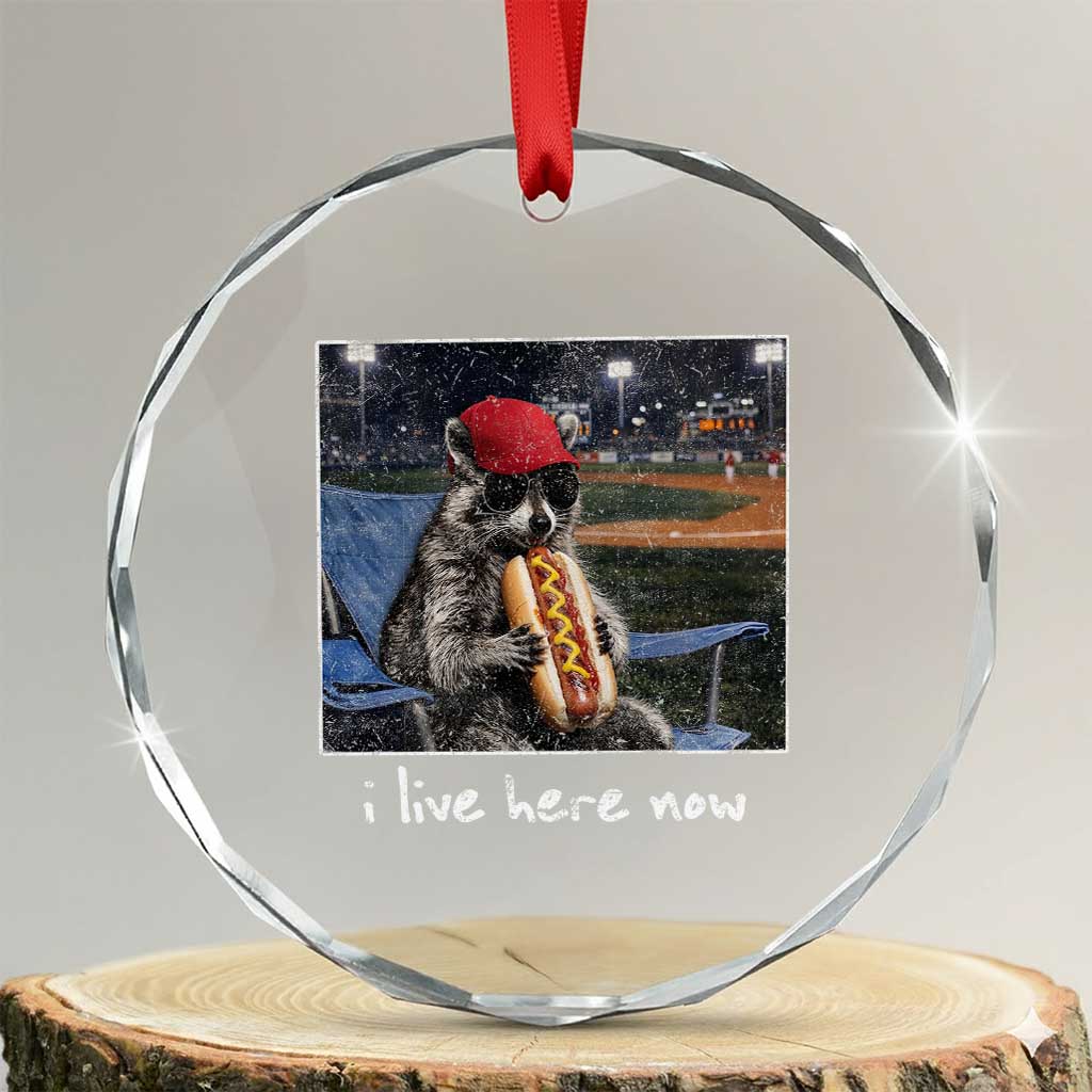 Baseball Raccoon I Live Here Now Crystal Glass Ornament Funny Trash Panda Eating Hot Dog Ballfield TS11 Transparent Glass 3'' Circle Print Your Wear