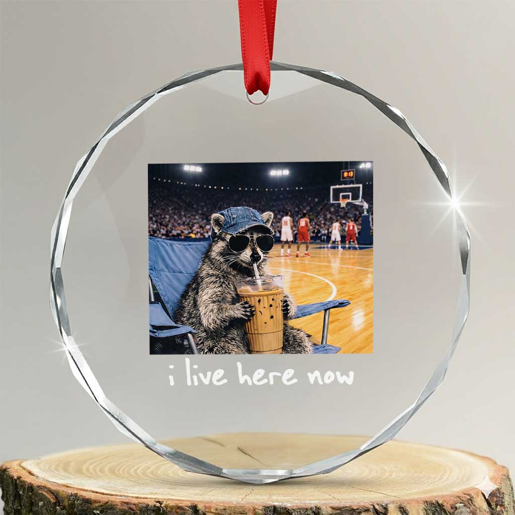 Basketball Raccoon I Live Here Now Crystal Glass Ornament Funny Trash Panda Drinking Iced Coffee Basketball Court TS11 Transparent Glass 3'' Circle Print Your Wear