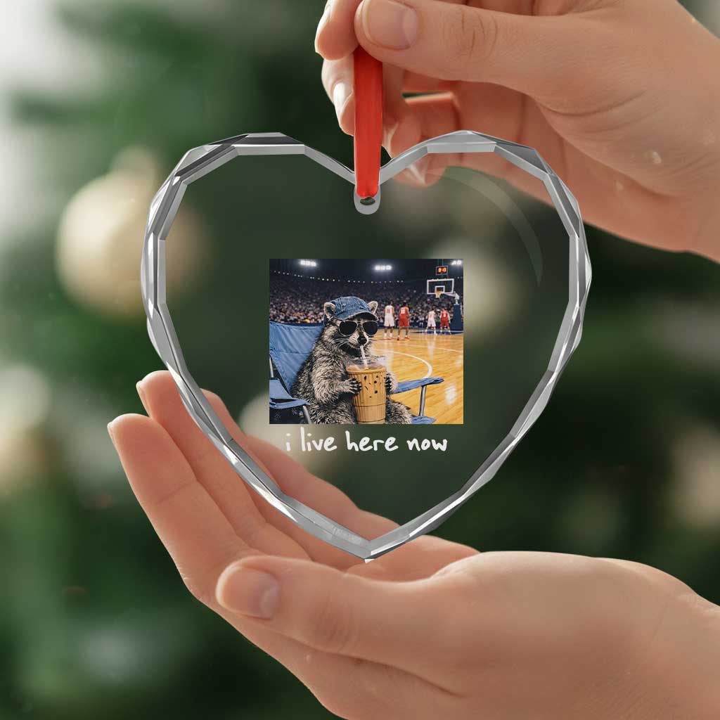 Basketball Raccoon I Live Here Now Heart Crystal Glass Ornament Funny Trash Panda Drinking Iced Coffee Basketball Court TS11 Print Your Wear
