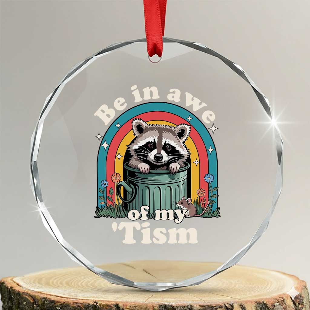 Be in Awe of My Tism Crystal Glass Ornament Funny Raccoon Autism Acceptance TS14 Transparent Glass 3'' Circle Print Your Wear