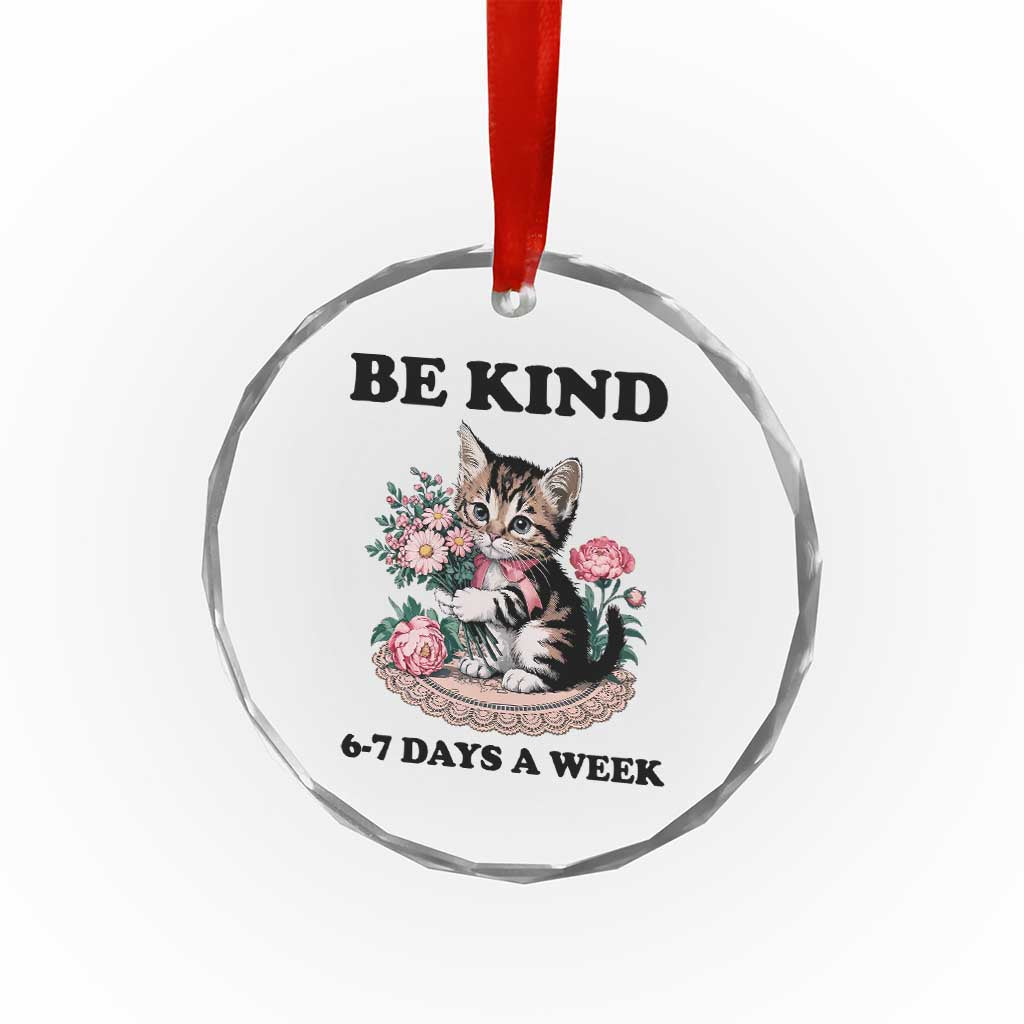 Be Kind 6 7 Days a Week Crystal Glass Ornament Funny Six Seven Cat Teacher Meme TS14 Print Your Wear