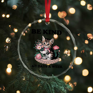 Be Kind 6 7 Days a Week Crystal Glass Ornament Funny Six Seven Cat Teacher Meme TS14 Print Your Wear