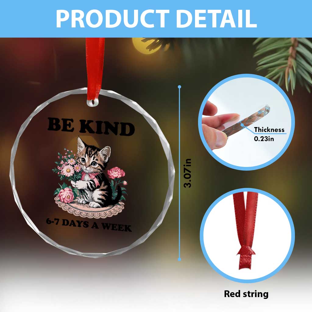 Be Kind 6 7 Days a Week Crystal Glass Ornament Funny Six Seven Cat Teacher Meme TS14 Print Your Wear